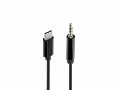 Everyday Essentials<br>USB C Aux Cable