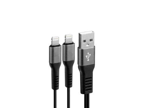 Twin USB A > Apple 8pin x2