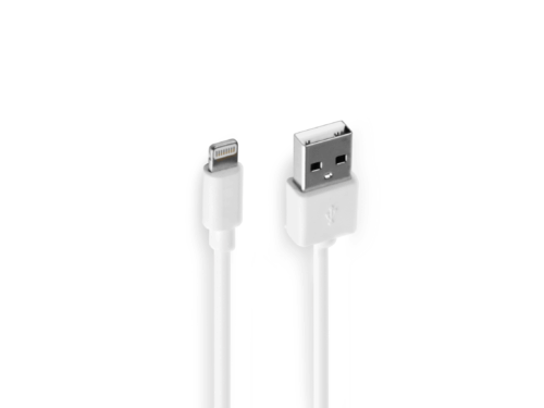 Everyday Essentials<br>USB 2.0 Apple 8pin Cable